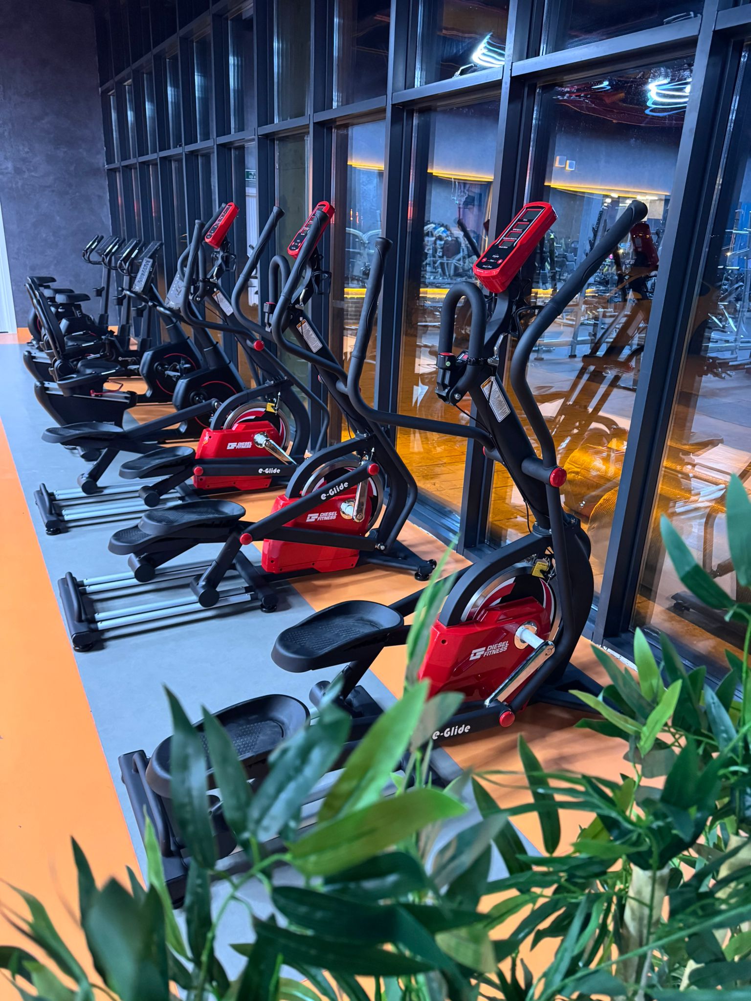 Momentum Fitness - Serbest Ağırlık Bölümü
