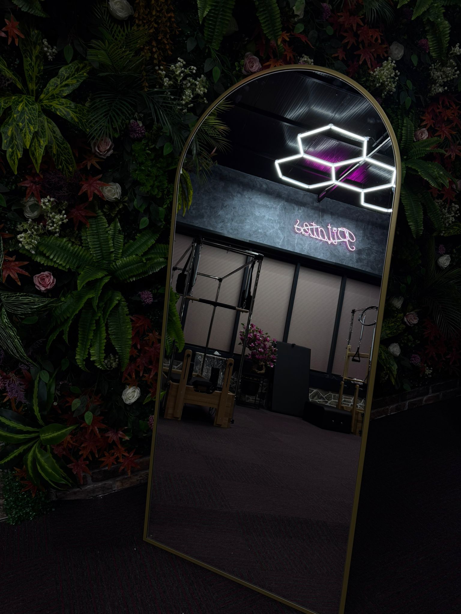 Momentum Fitness - Ağırlık ve Makine Alanı
